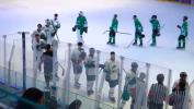 ‌‌Ice Hockey Stars Confrontation